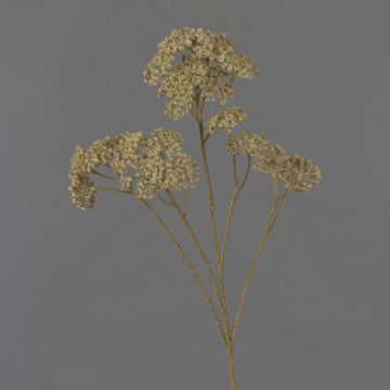 Ramo decorativo di achillea ORTEGA, beige, 70 cm, Ø 4 cm