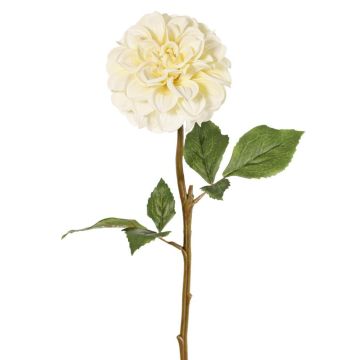 Fiore artificiale dalia BREDANA, crema, 60 cm, Ø 11 cm