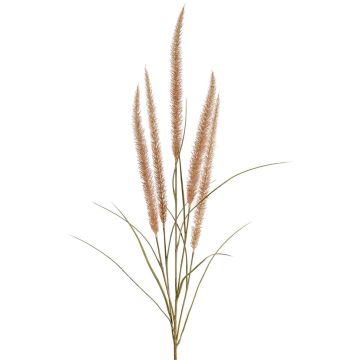 Ramo decorativo di erba piumata AREVALO con pannocchie, beige, 135 cm