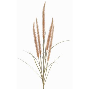 Ramo decorativo di erba piumata AREVALO con pannocchie, beige, 135cm Ramo decorativo di erba piumata AREVALO con pannocchie, beige, 135cm