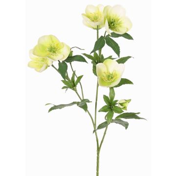 Ramo artificiale di rosa di Natale ANYALA, verde-bianco, 60cm, Ø5-6cm