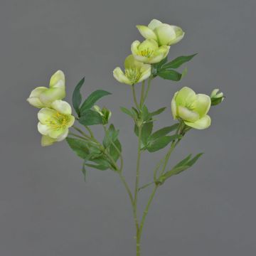 Ramo artificiale di rosa di Natale ANYALA, verde-bianco, 50 cm