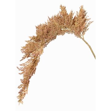 Ramo artificiale di sorgo BOTTO con spighe, beige-rosso, 95cm Ramo artificiale di sorgo BOTTO con spighe, beige-rosso, 95cm
