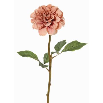 Fiore artificiale dalia BREDANA, rosa antico, 60cm, Ø11cm