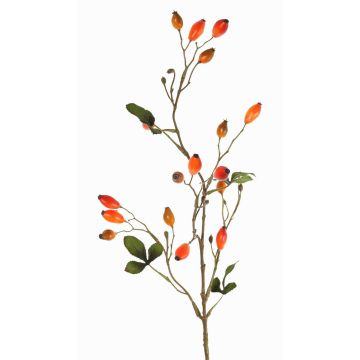 Ramo decorativo di rosa selvatica ZERBST con cinorrodi, arancione-rosso, 80cm