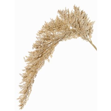 Ramo artificiale di sorgo BOTTO con spighe, crema, 95cm Ramo artificiale di sorgo BOTTO con spighe, crema, 95cm