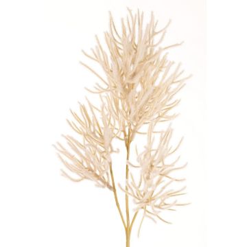 Ramo decorativo corallo BILBAS, color crema, 70 cm
