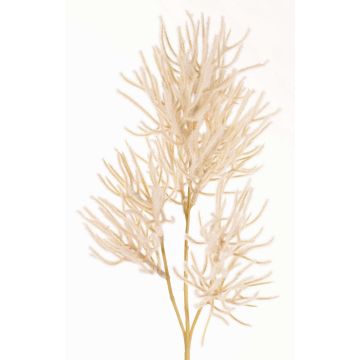 Ramo decorativo corallo BILBAS, crema, 70cm
