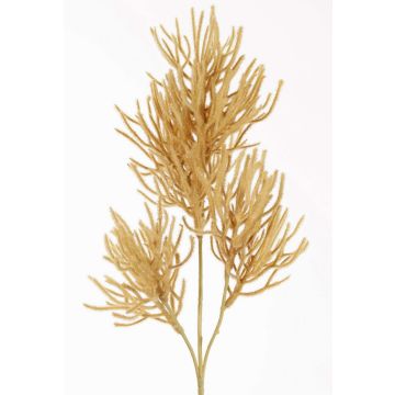 Ramo decorativo corallo BILBAS, marrone chiaro, 70cm
