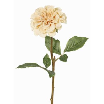 Fiore artificiale dalia BREDANA, beige, 60cm, Ø11cm Fiore artificiale dalia BREDANA, beige, 60cm, Ø11cm