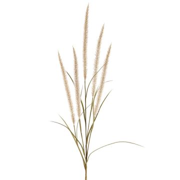 Ramo decorativo erba piumata AREVALO con pannocchie, color crema, 135 cm