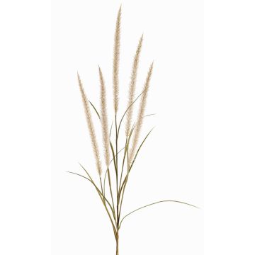 Ramo decorativo erba piumata AREVALO con pannocchie, crema, 135cm Ramo decorativo erba piumata AREVALO con pannocchie, crema, 135cm