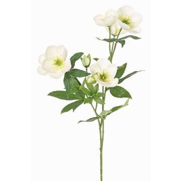 Ramo artificiale di rosa di Natale ANYALA, crema-bianco, 60cm, Ø5-6cm