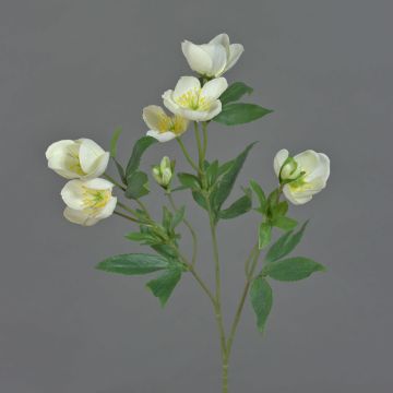 Ramo artificiale di rosa di Natale ANYALA, bianco crema, 50 cm