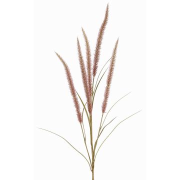 Ramo decorativo di erba piumata AREVALO con pannocchie, malva, 135cm Ramo decorativo di erba piumata AREVALO con pannocchie, malva, 135cm