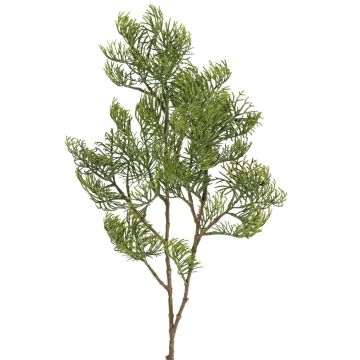 Ramo decorativo di cipresso artificiale SILVARIO, verde, 75 cm