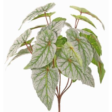 Begonia artificiale a foglia su bastoncino DIKTIS, verde-grigio, 35cm
