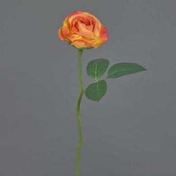 Fiore artificiale rosa GABI, arancione, 25 cm, Ø 5 cm