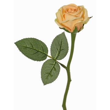 Fiore artificiale rosa GABI, pesca-crema, 30cm, Ø6cm Fiore artificiale rosa GABI, pesca-crema, 30cm, Ø6cm
