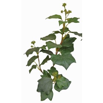 Ramo di edera finta TOYAH con frutti, verde, 65cm Ramo di edera finta TOYAH con frutti, verde, 65cm