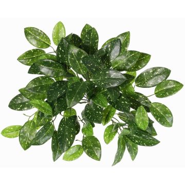 Hoya carnosa artificiale QWARA su bastoncino, verde-bianco, 35cm Hoya carnosa artificiale QWARA su bastoncino, verde-bianco, 35cm