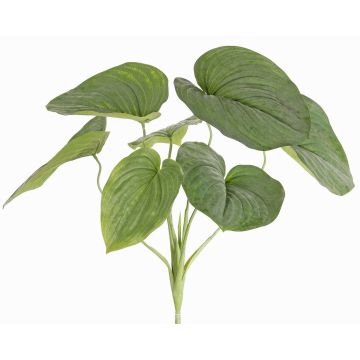 Pianta artificiale Funkie RAIATEA su bastone, verde, 65cm