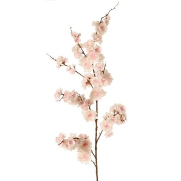 Ramo decorativo ciliegio ornamentale giapponese ZORYA con fiori, rosa-crema, 125 cm