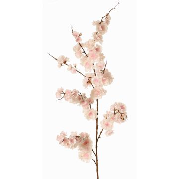 Ramo decorativo ciliegio ornamentale giapponese ZORYA con fiori, rosa-crema, 125 cm