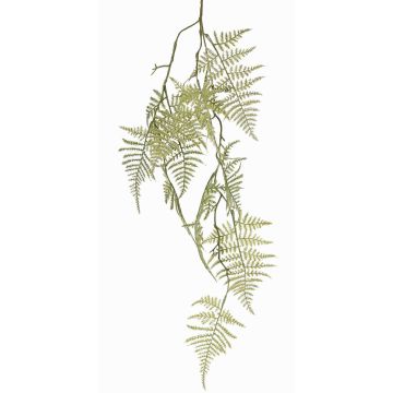 Decorazione ramo Asparagus plumosus UHERA, verde, 90cm