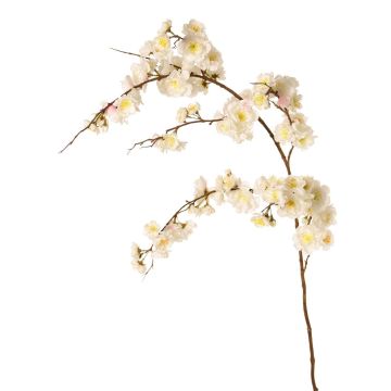 Ramo decorativo ciliegio ornamentale giapponese ZORYA con fiori, crema-rosa, 125 cm