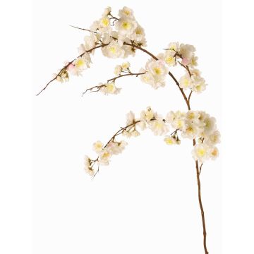 Ramo decorativo ciliegio ornamentale giapponese ZORYA con fiori, crema-rosa, 125 cm Ramo decorativo ciliegio ornamentale giapponese ZORYA con fiori, crema-rosa, 125 cm
