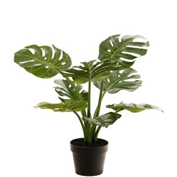 Philodendron Monstera Deliciosa pianta artificiale QUENTEA, vaso decorativo, 60 cm