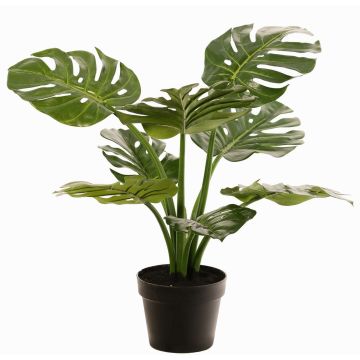 Philodendron Monstera Deliciosa pianta artificiale QUENTEA, vaso decorativo, 60cm Philodendron Monstera Deliciosa pianta artificiale QUENTEA, vaso decorativo, 60cm