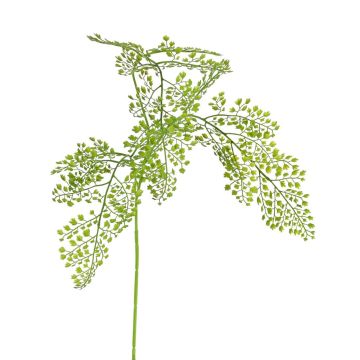 Ramo di felce femmina artificiale URRACA, verde, 90 cm
