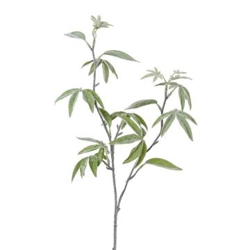 Ramo decorativo albero delle dita DREVAL, congelato, bianco-verde, 65 cm Ramo decorativo albero delle dita DREVAL, congelato, bianco-verde, 65 cm