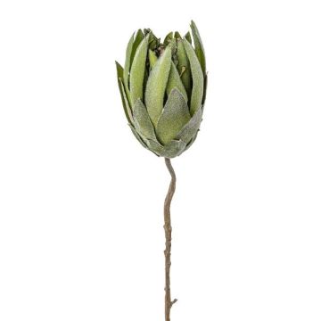 Fiore artificiale Protea LINDAR, verde, 70 cm