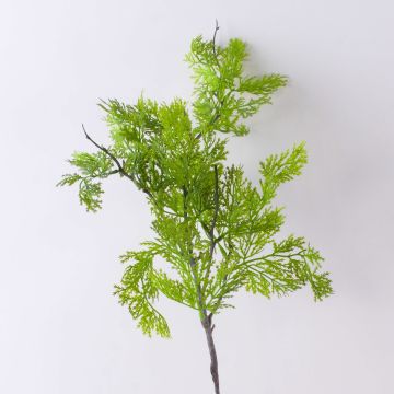 Ramo decorativo di tuia BIRLAF, verde-giallo, 60cm