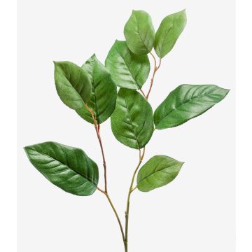 Ramo di melo di simulazione KONSTANTIN, verde, 75cm
