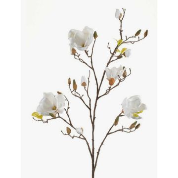 Ramo di magnolia artificiale LILO, crema, 110cm, Ø5-9cm Ramo di magnolia artificiale LILO, crema, 110cm, Ø5-9cm