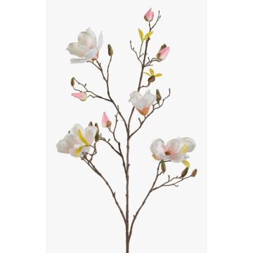 Ramo di magnolia artificiale LILO, bianco-rosa, 110cm, Ø5-9cm Ramo di magnolia artificiale LILO, bianco-rosa, 110cm, Ø5-9cm