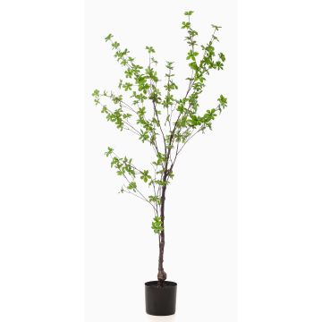 Albero artificiale nasturzio TUFFY, tronco artificiale, verde, 150 cm Albero artificiale nasturzio TUFFY, tronco artificiale, verde, 150 cm