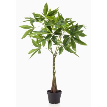 Albero artificiale Pachira ALEC, tronchi artificiali, 90 cm