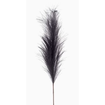 Ramo decorativo di erba della pampa NYX, blu scuro, 100 cm