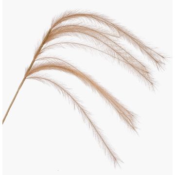 Ramo artificiale con pannocchie di erba piumata LUMINIA, beige, 135 cm