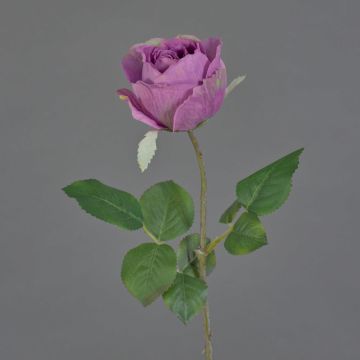 Fiore artificiale rosa POPI, viola-verde, 55 cm, Ø 7 cm