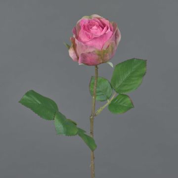 Fiore artificiale rosa POPI, rosa-verde, 55 cm, Ø 7 cm