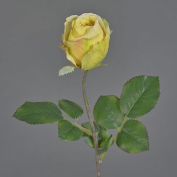 Fiore artificiale rosa POPI, giallo-rosa, 55 cm, Ø7 cm