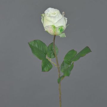 Fiore artificiale rosa POPI, bianco-verde, 55 cm, Ø7 cm