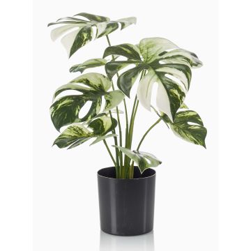 Fake Philodendron Monstera Deliciosa Variegata ZAINE, verde-bianco, 40 cm