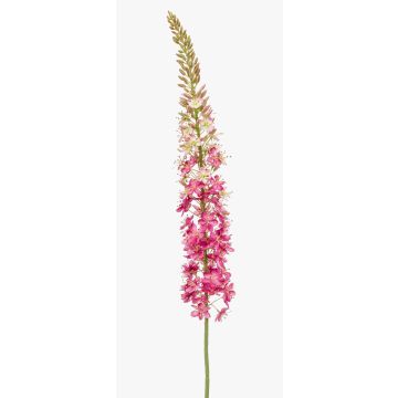 Grande fiore artificiale Candela della steppa NITTI, rosa, 130 cm